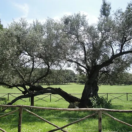 Appartamento Zadarska